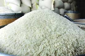 برنج شمال کشور