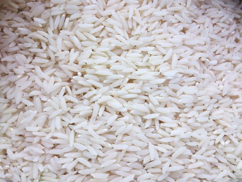 برنج خالص شمال