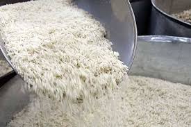 عرضه مستقیم برنج شمال