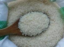 قیمت برنج شمال