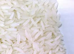 انواع برنج پرمحصول