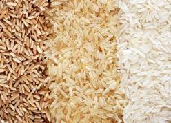 قیمت برنج مرغوب شمال