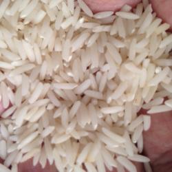 قیمت برنج معطر