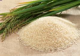نرخ برنج نیم دانه شمال