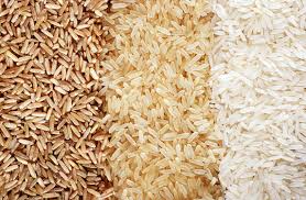 اسامی برنج شمال