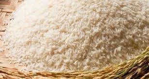 اعطای نمایندگی برنج ارگانیک شمال