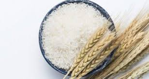 اعطای نمایندگی برنج شمال ایران