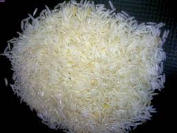 تولید بهترین نوع برنج در شمال