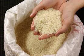 خریدار برنج نیم دانه شمال