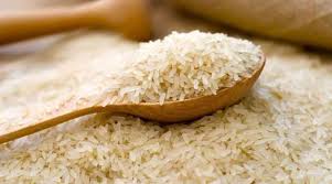 فروش برنج شمال گیلان