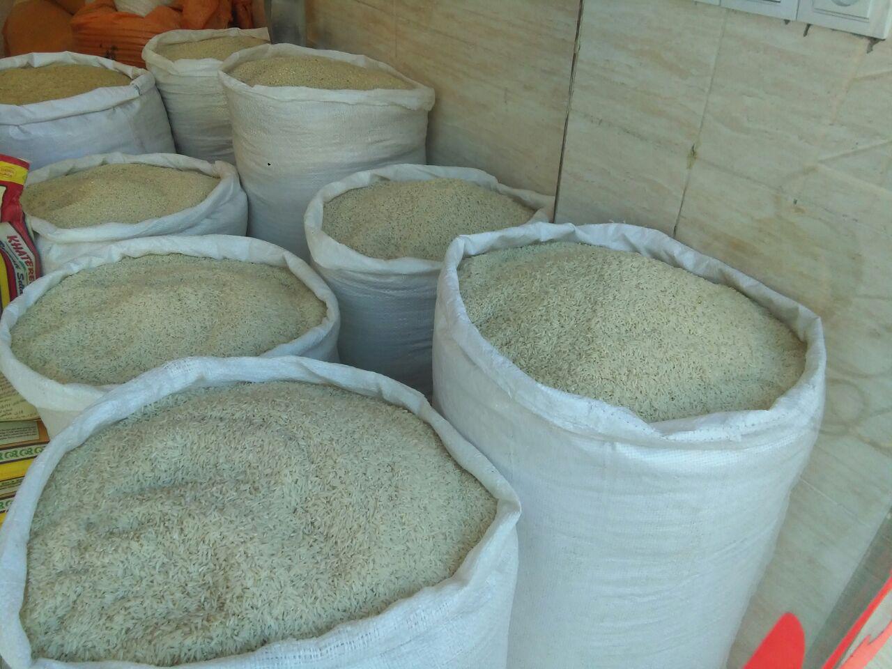 قیمت روز برنج