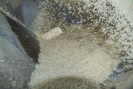 بازار خرید برنج