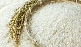 شرکت برنج شیرودی شمال