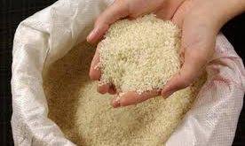 پخش برنج شمال گیلان