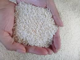 تهیه برنج فجر