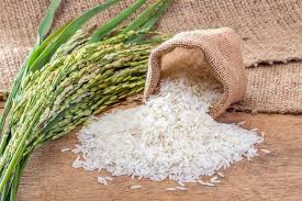 فروش برنج گیلان