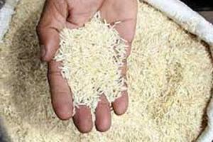 تهیه اینترنتی برنج