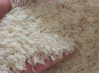 تهیه عمده برنج