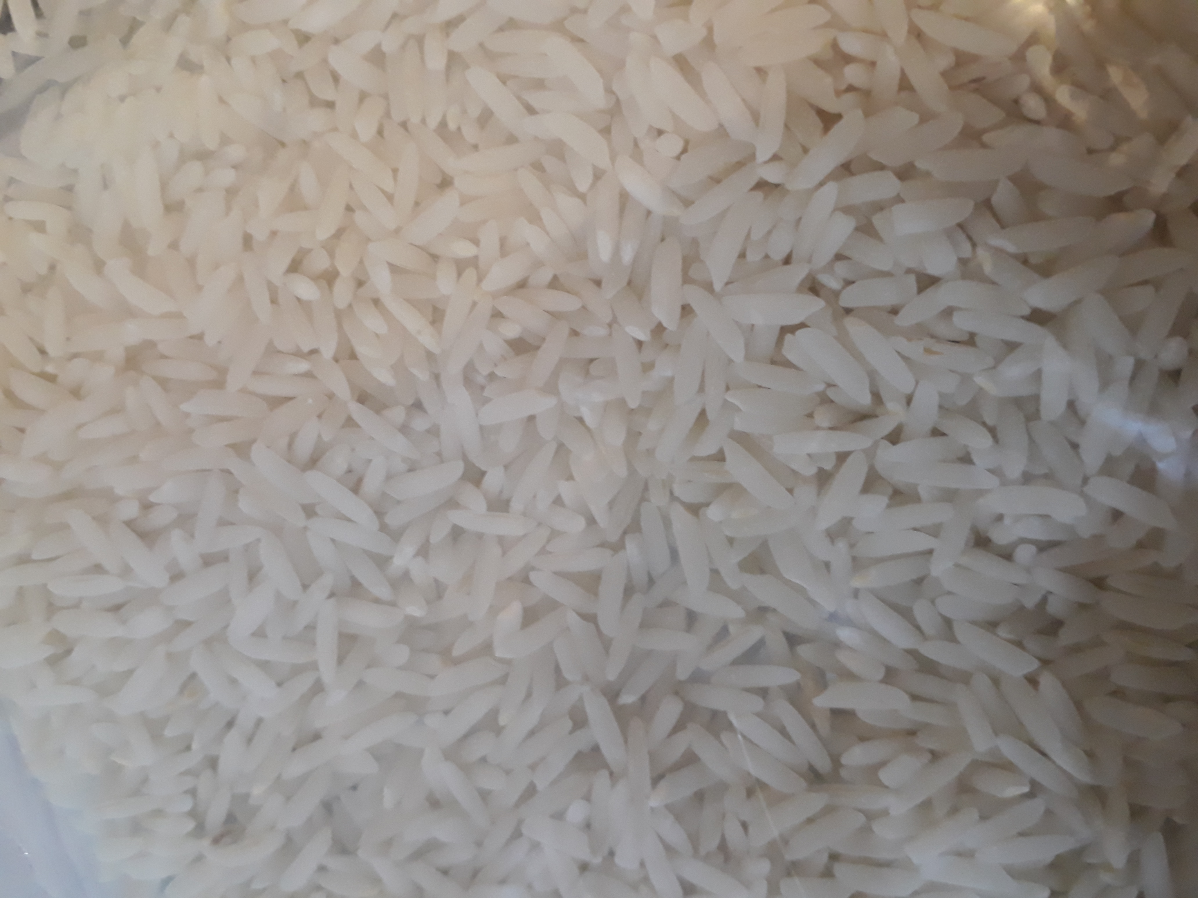 تولید کننده برنج
