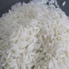 خرید برنج شیرودی