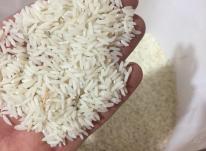 فروش برنج دم زرد