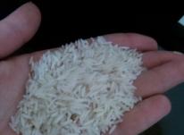 انواع برنج صدری