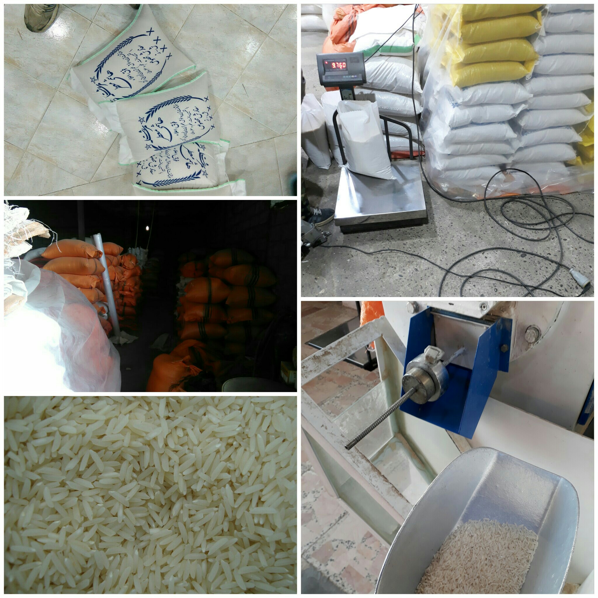 قیمت خرید برنج