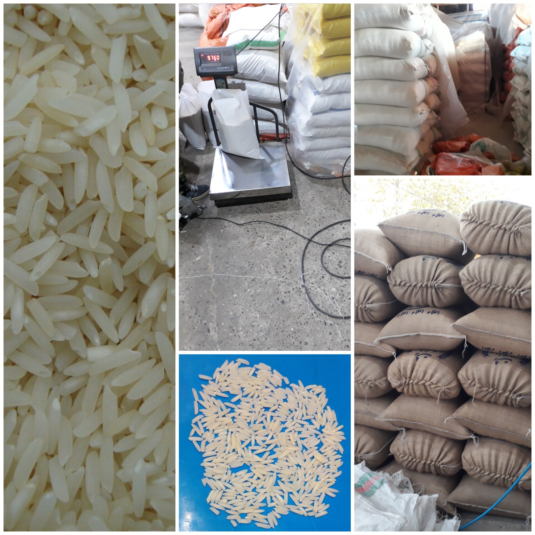 تولید کننده برنج