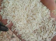 خرید برنج دم زرد