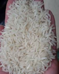مرکز فروش برنج