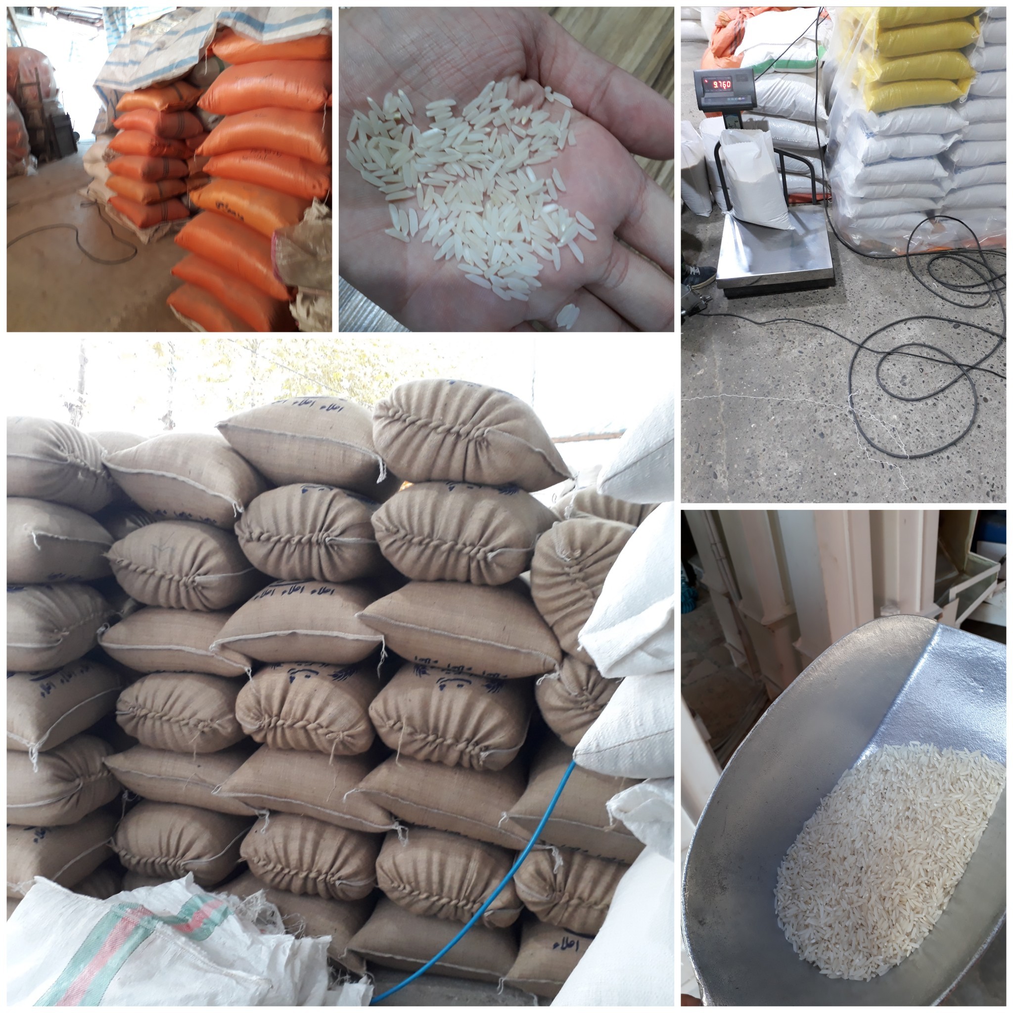نمایندگی فروش برنج