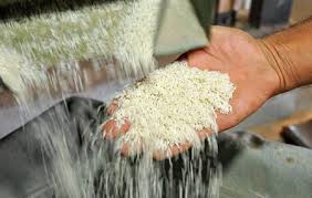 کارخانه تولید برنج