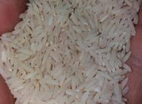 خرید برنج هاشمی