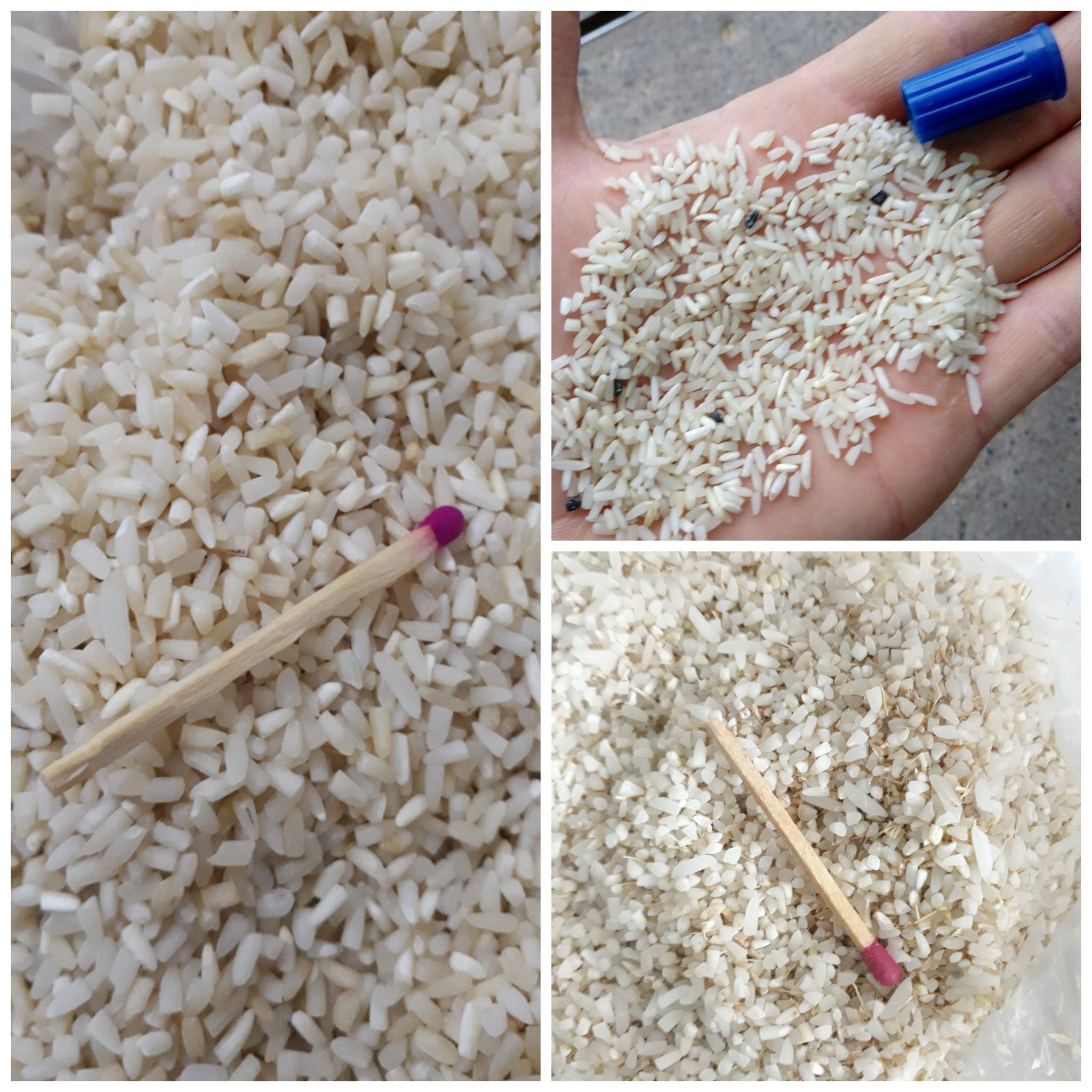قیمت برنج نیم دانه