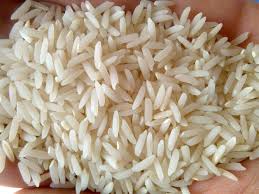 خرید برنج اصیل