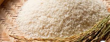 تهیه برنج معطر