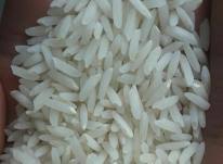 تولید برنج معطر