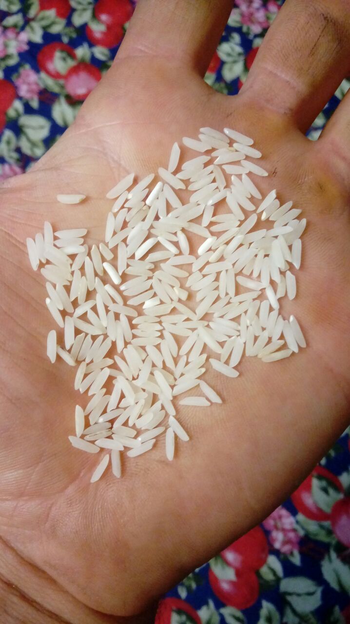 فروش برنج علی کاظمی