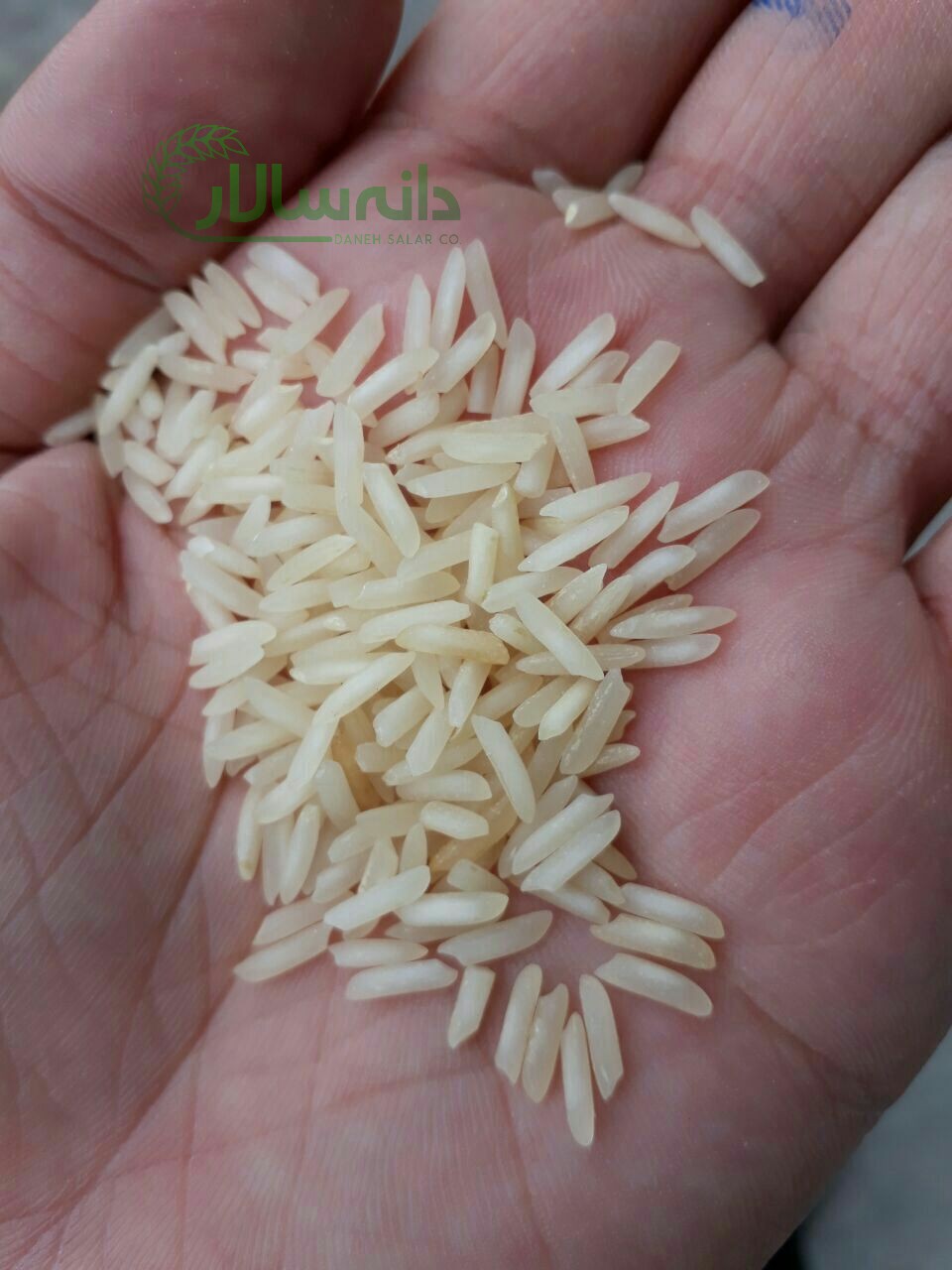 برنج ایرانی دودی