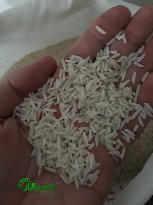 برنج 5 ستاره فریدونکنار