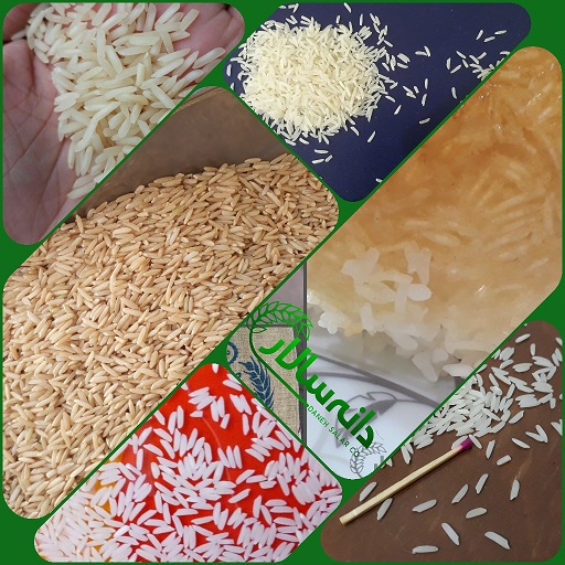 انواع برنج مرغوب ایرانی