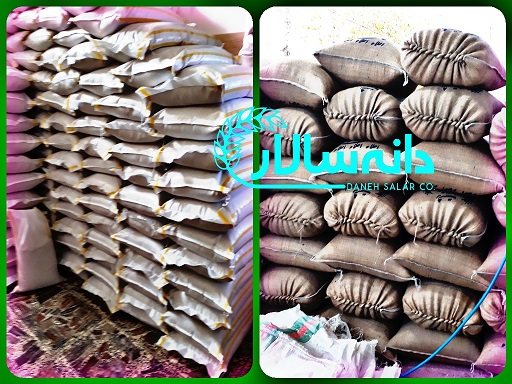برنج فروشان عمده تبریز